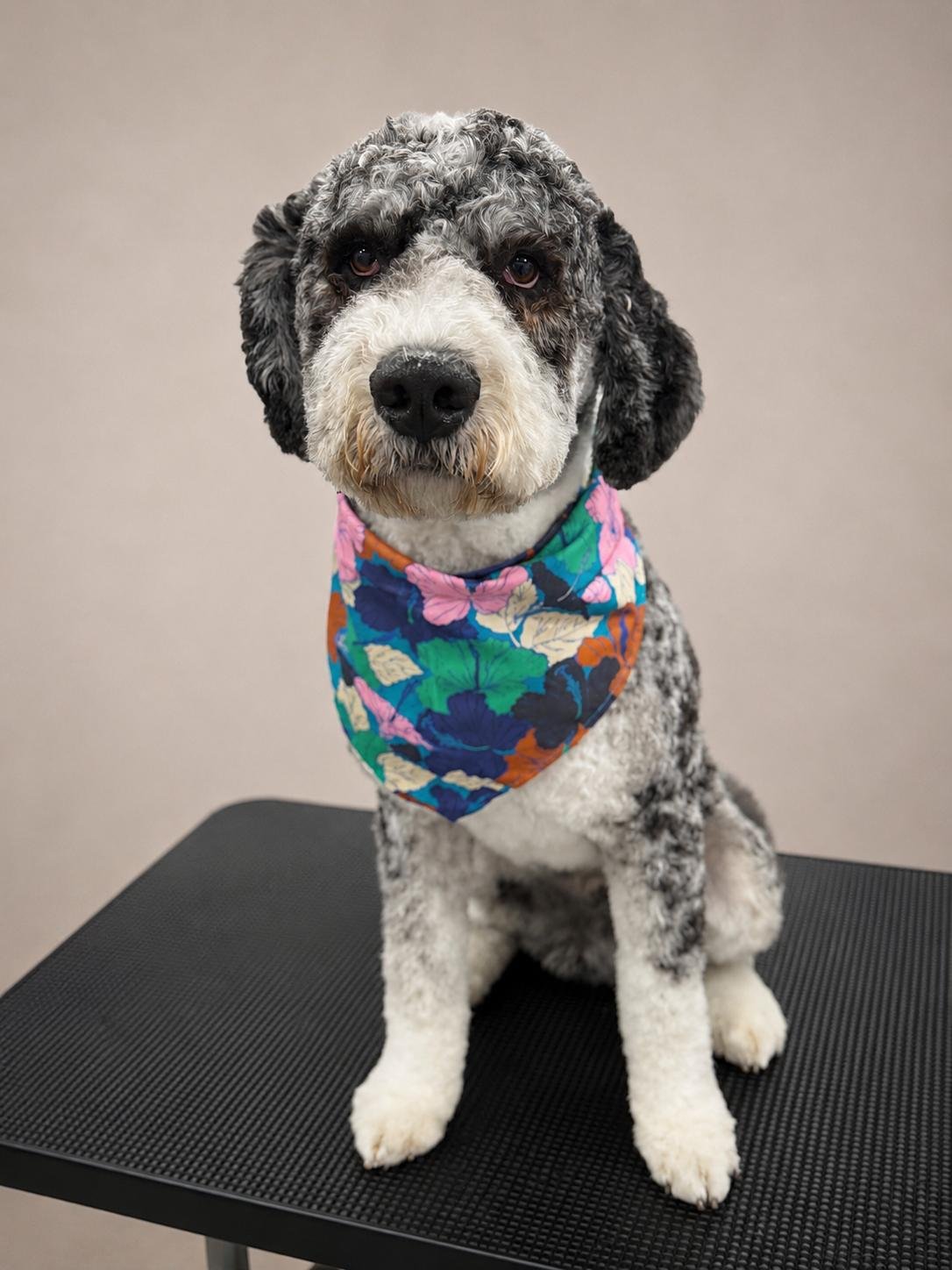 Grooming result